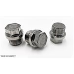 Screw Plug [Oil Pan] 1011 / 1012